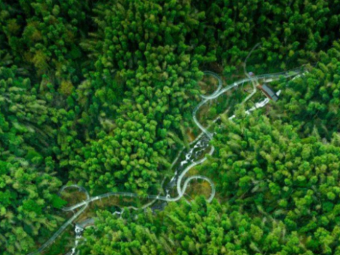 江西南昌：加速林业生态提质增效 推动林业产业高质量发展